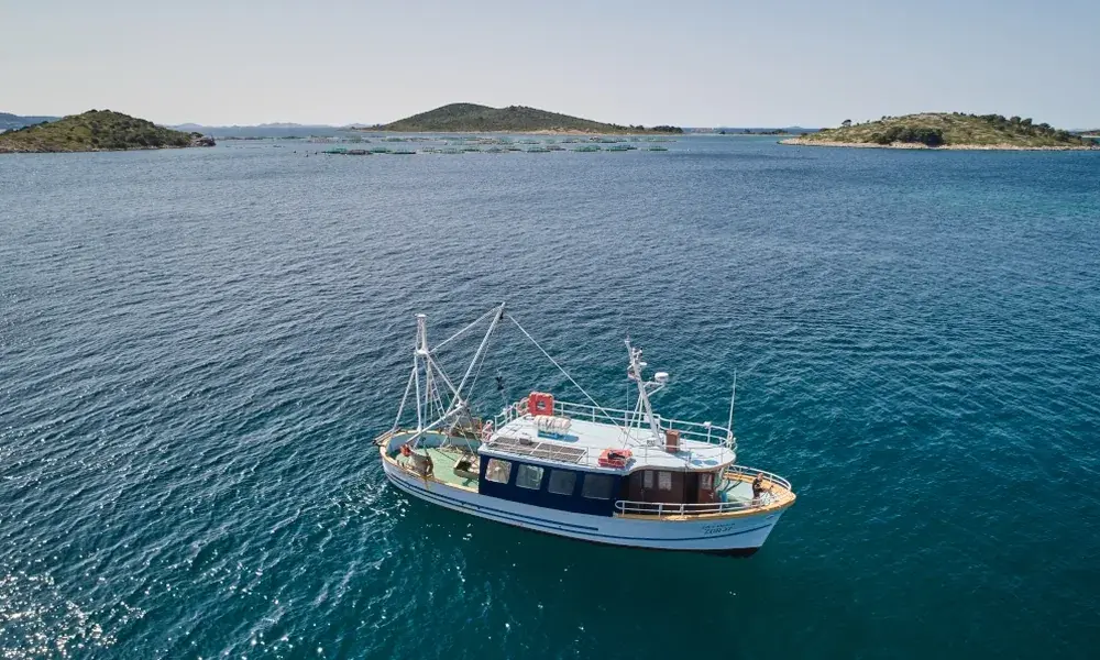 Traditional wooden fishing boat Sveti Andrija built 1947 sailing near Vrgada island Croatia